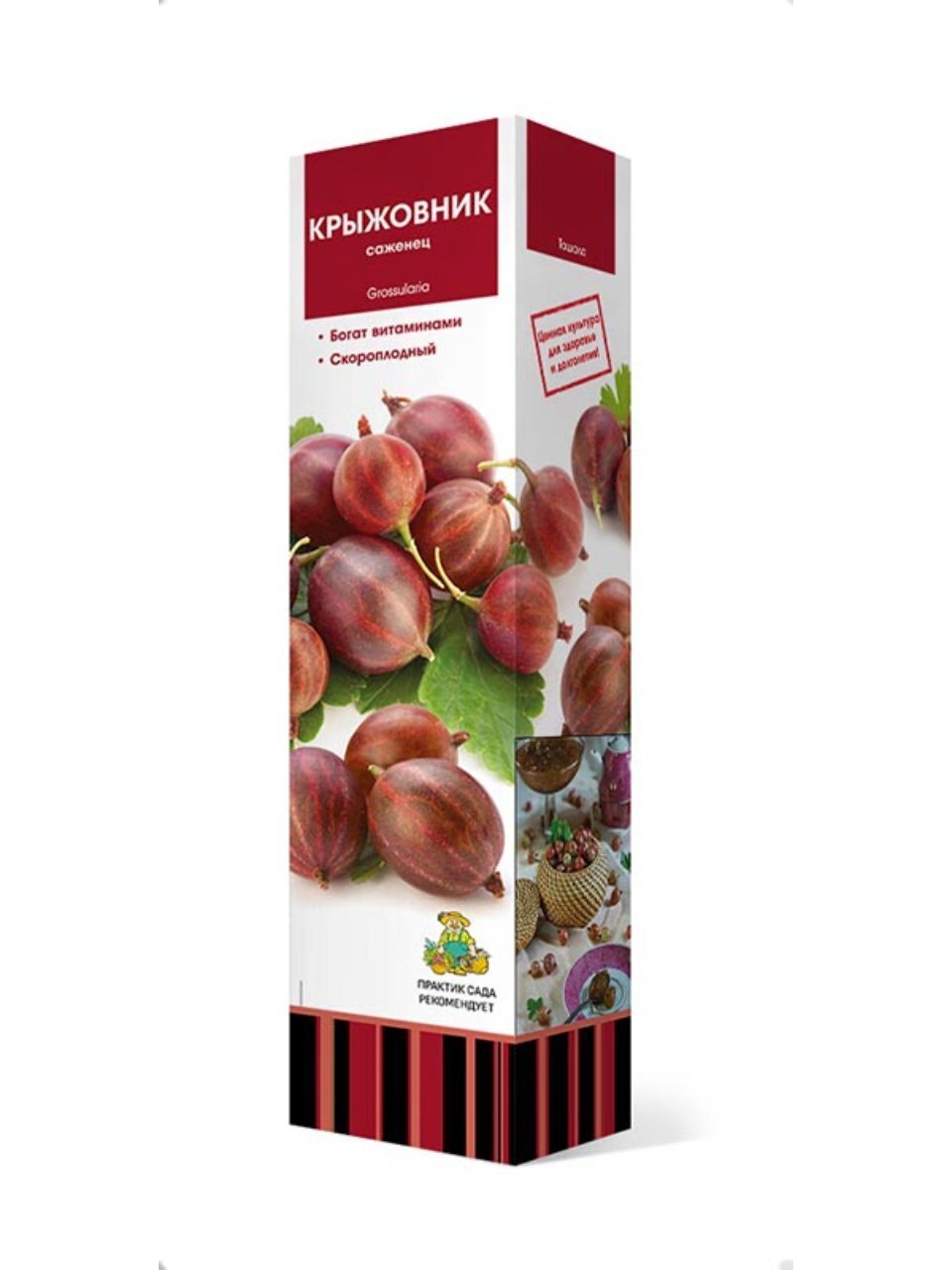 Саженцы Крыжовник, Арлекин, 752837