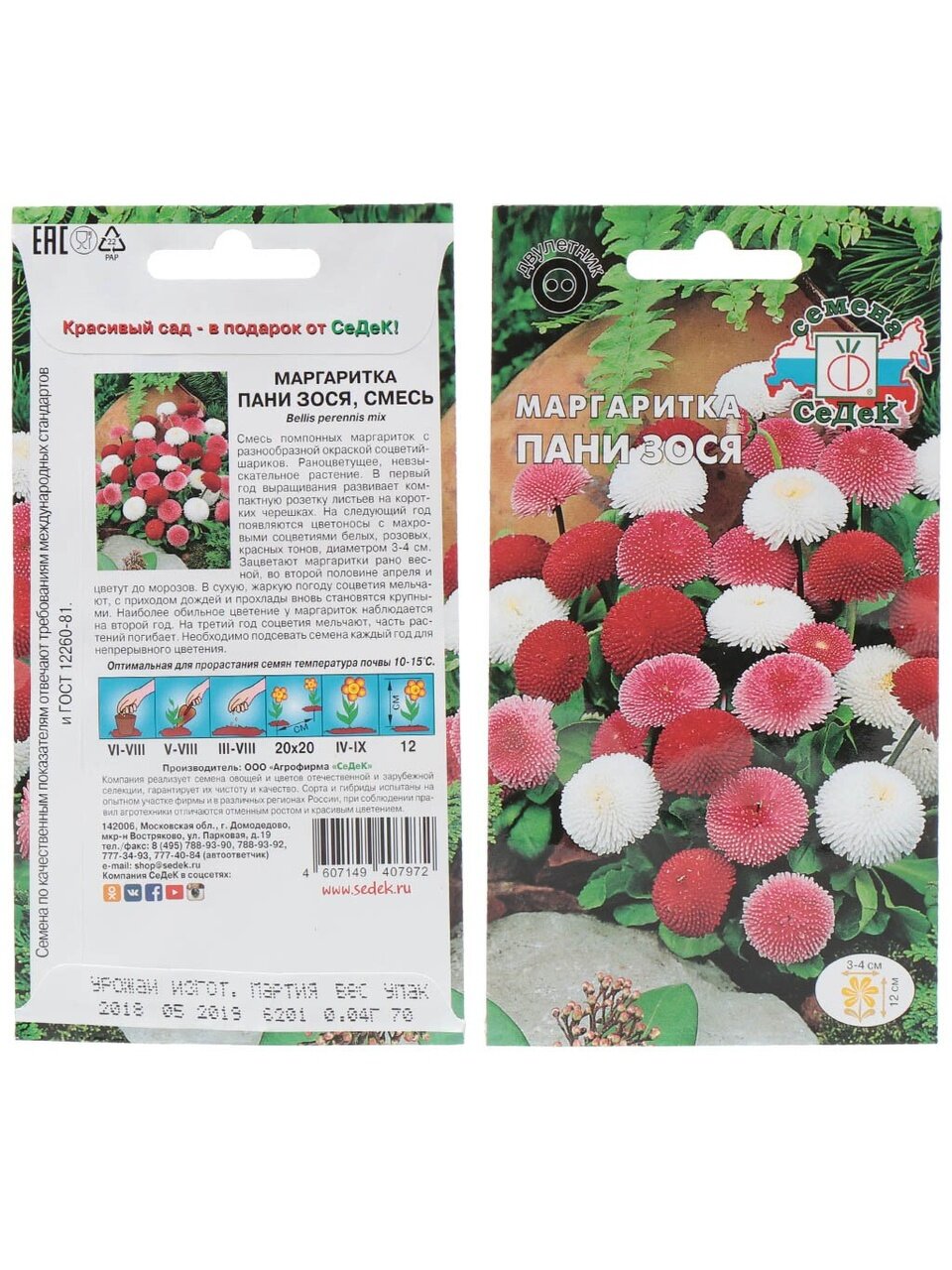 Семена Цветы, Маргаритка, Пани Зося, 0.04 г, цветная упаковка, Седек