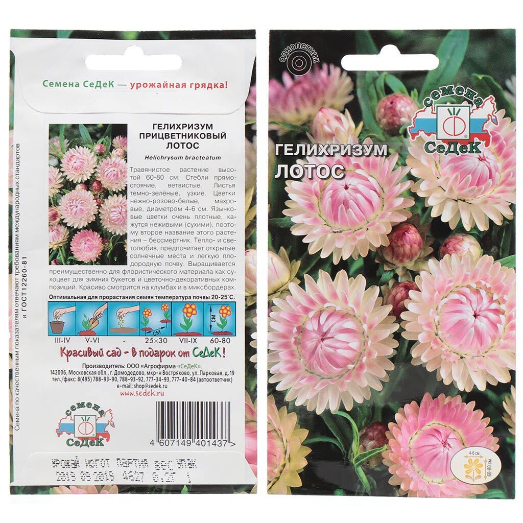 Семена Цветы, Гелихризум, Лотос серебристо-розовый, 0.2 г, цветная упаковка, Седек