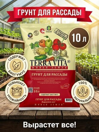 для рассады