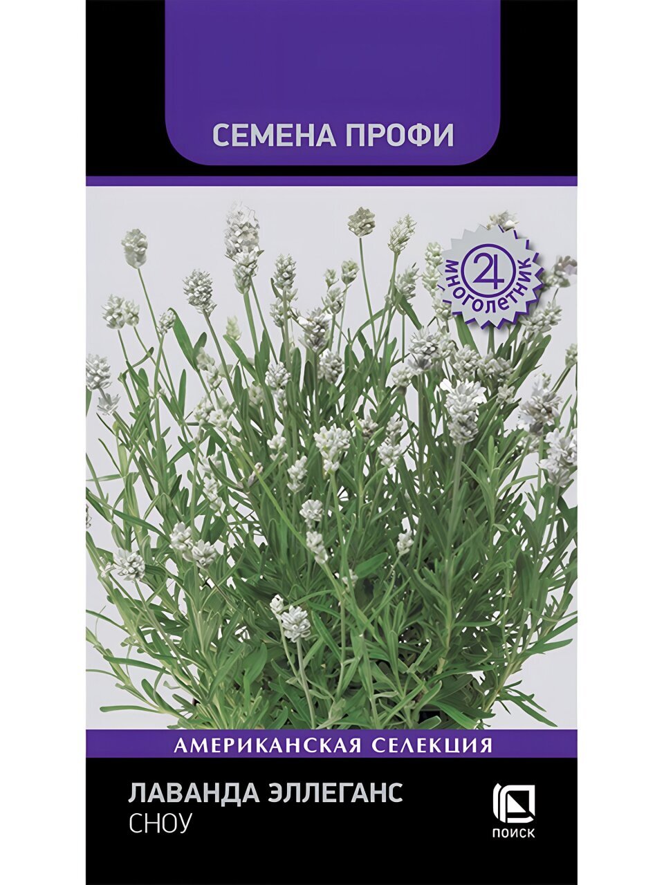 Семена Цветы, Лаванда, Эллеганс Сноу, 10 шт, цветная упаковка, Поиск