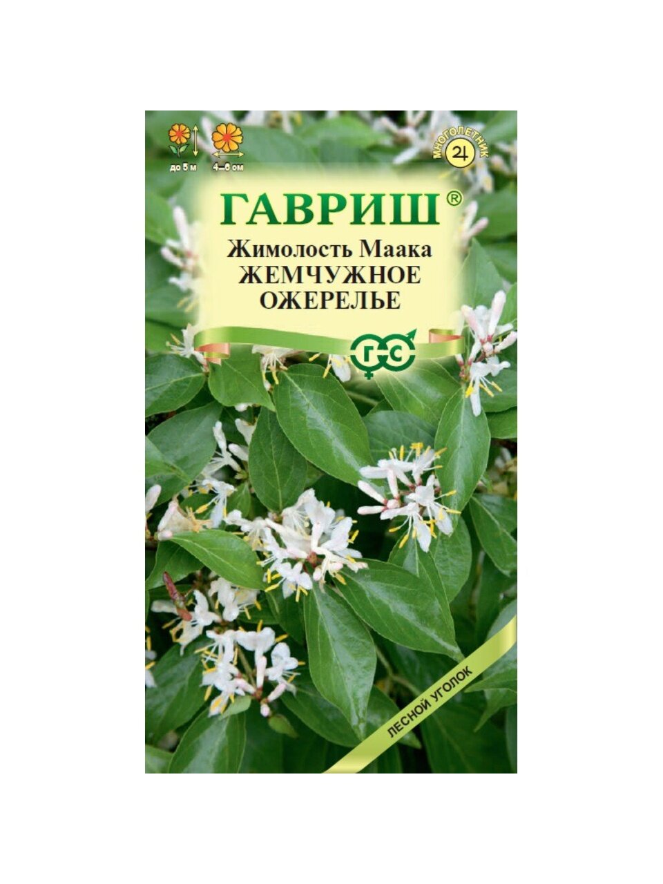 Семена Цветы, Жимолость, Маака Жемчужное ожерелье, 0.05 г, цветная упаковка, Гавриш