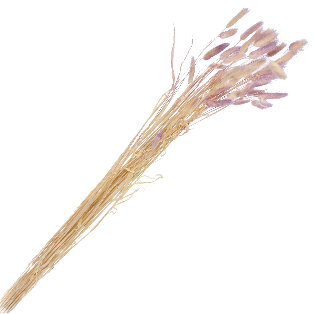 Цветок искусственный декоративный Сухоцветы, 55 см, фиолетовый, Y6-10404