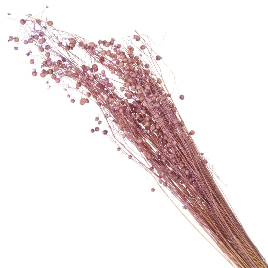 Цветок искусственный декоративный Гипсофила, 60 см, фиолетовый, Y4-6301 ок искусственный декоративный ветвь 39 см фиолетовый y6 10375