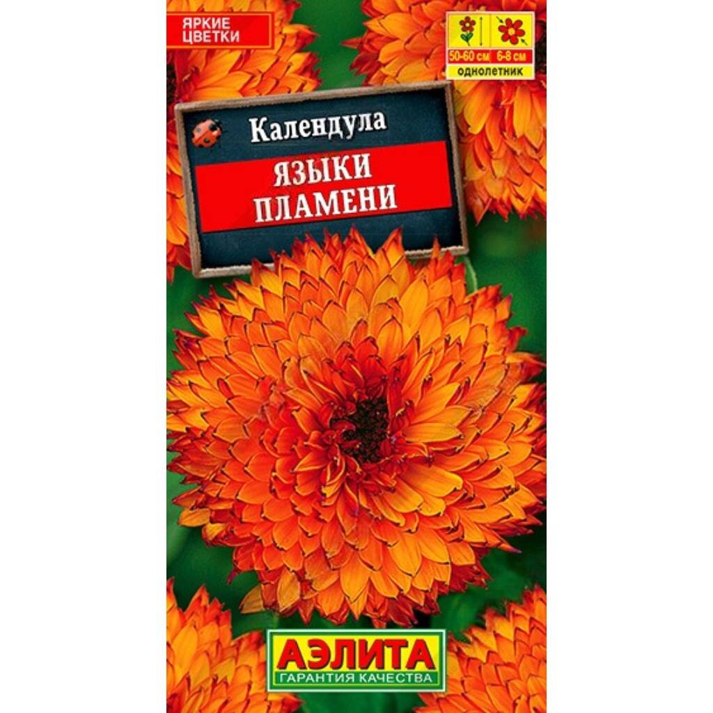 Семена Цветы, Календула, Языки пламени, 0.5 г, цветная упаковка, Аэлита