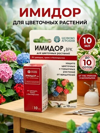10 мл