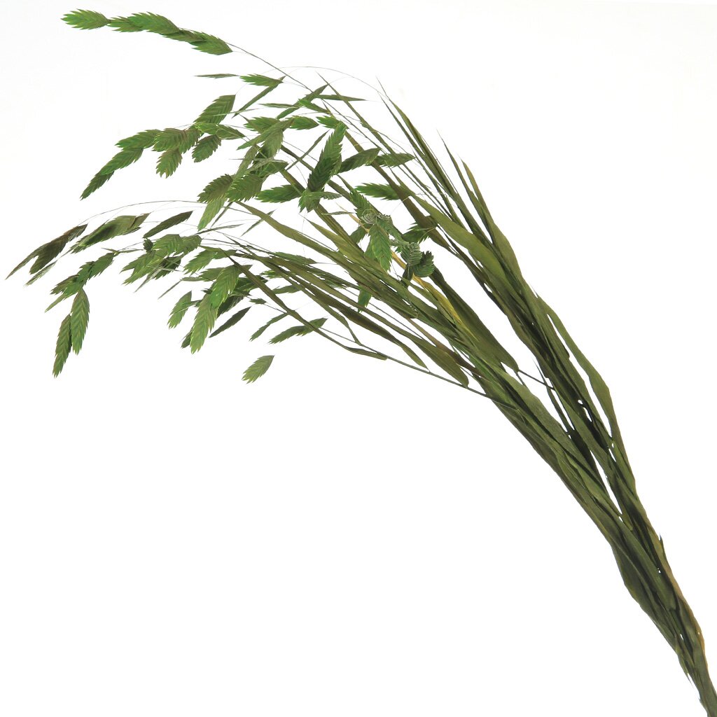 Цветок искусственный декоративный Ветвь, 60 см, зеленый, Y4-6304 карнавальнеый аксессуар перчатки зеленый металлик искусственная кожа