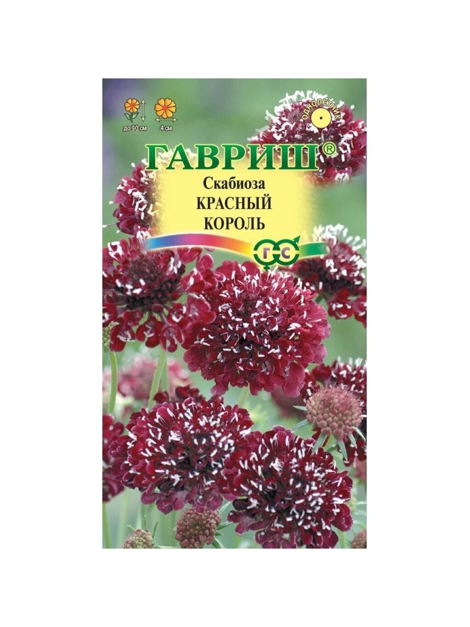 Семена Цветы, Скабиоза, Красный король, Цветочная коллекция, темнопурпурная, махровая, цветная упаковка, Гавриш