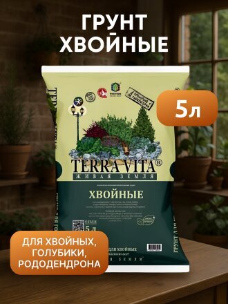 Хвойные-Голубика-Рододендрон