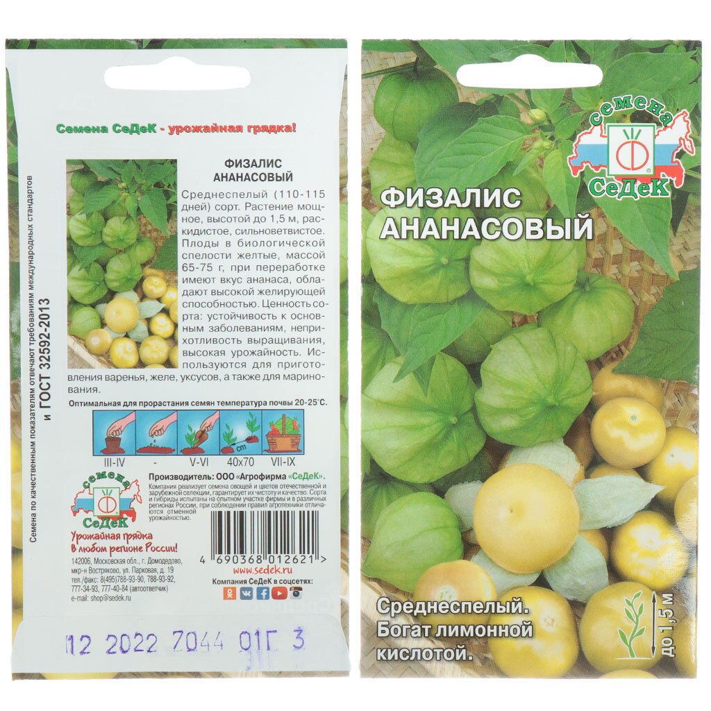 Семена Физалис, Ананасовый, 0.1 г, цветная упаковка, Седек