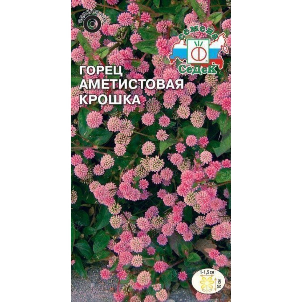 Семена Цветы, Горец, Аметистовая крошка, 0.1 г, цветная упаковка, Седек