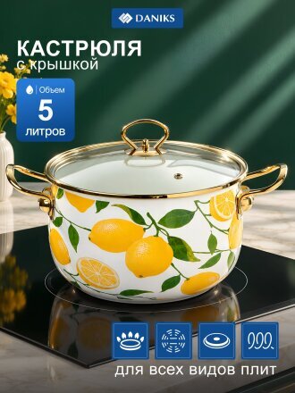 Кастрюля эмалированная сталь, 5 л, крышка стекло, Daniks, Лимоны, индукция