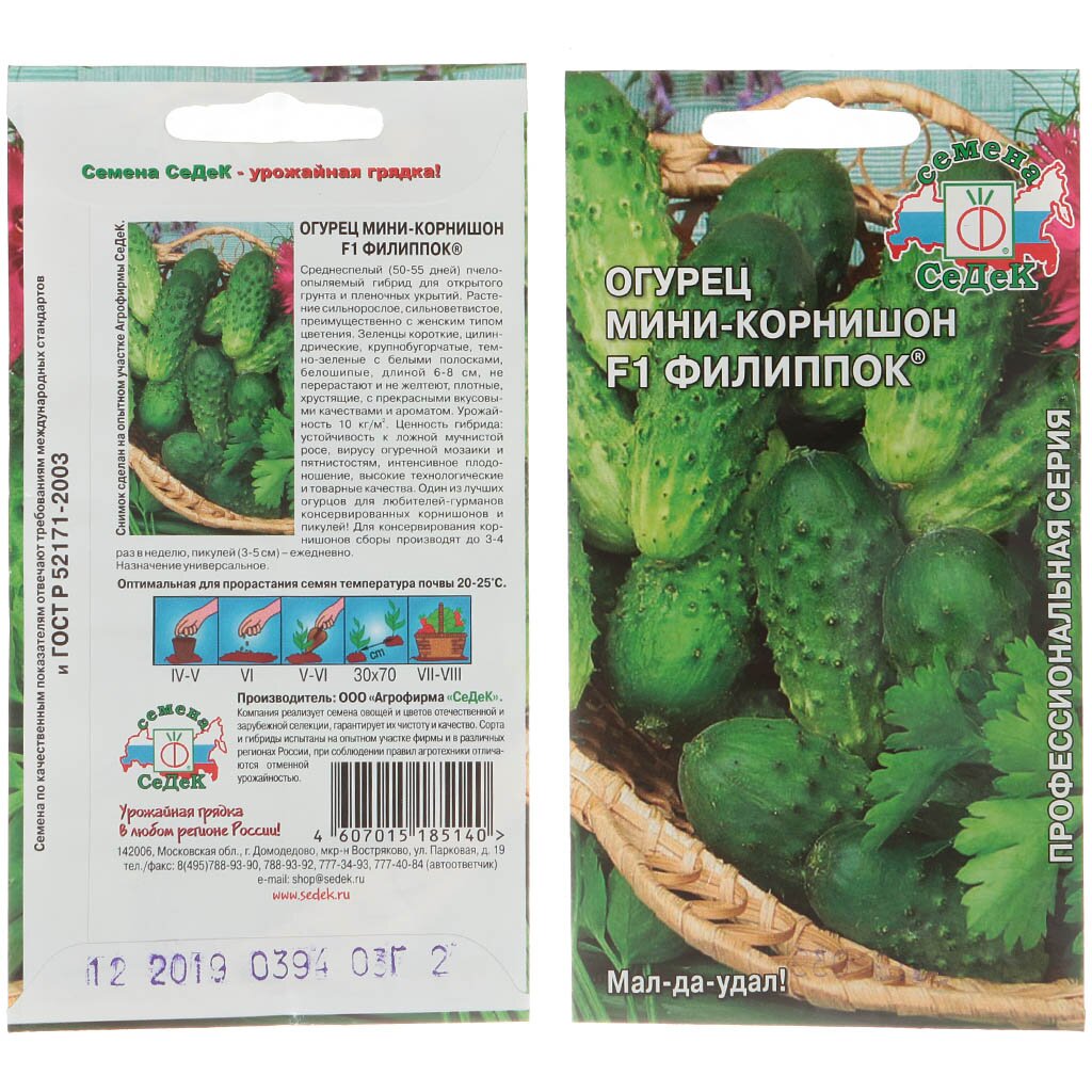 Семена Огурец, Филиппок F1, цветная упаковка, Седек семена огурец мустафа f1 для защищенного грунта ная упаковка седек