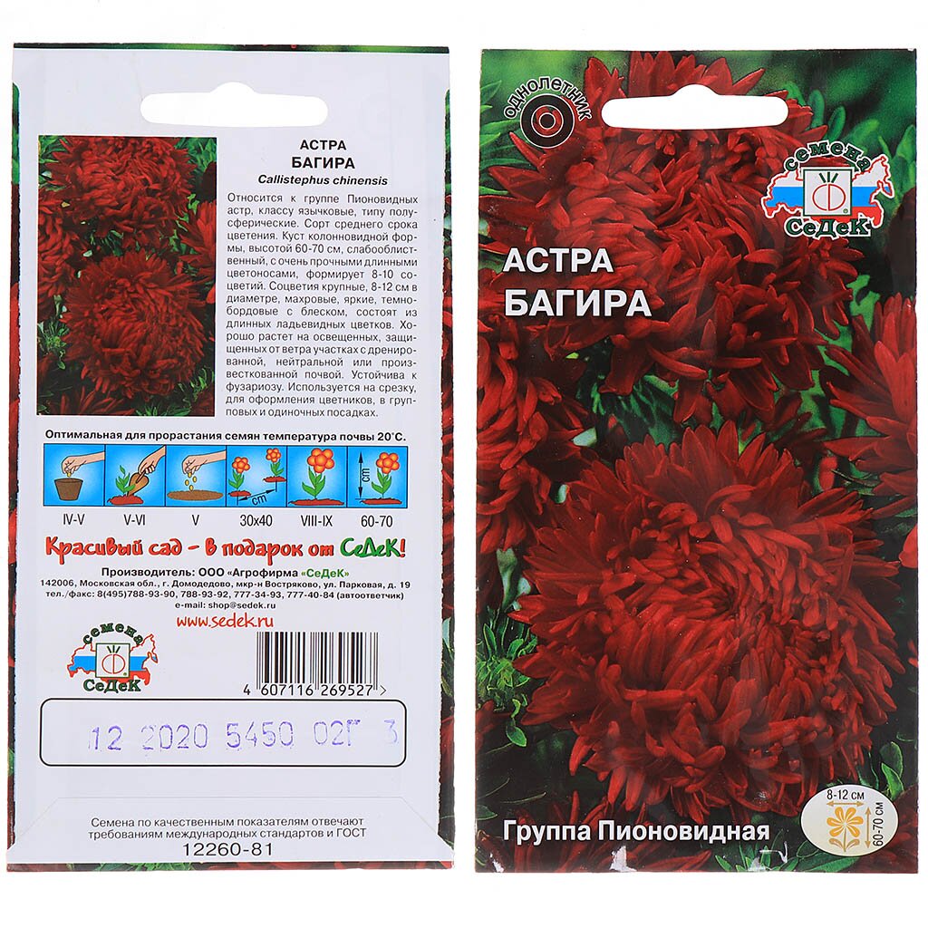 Семена Цветы, Астра, Багира, 0.2 г, цветная упаковка, Седек