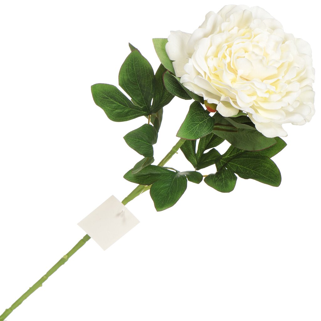 Цветок искусственный декоративный Пион, 75 см, белый, Y3-1545 искусственный цветок хризантема 13x13 см разноцветный полиэстер