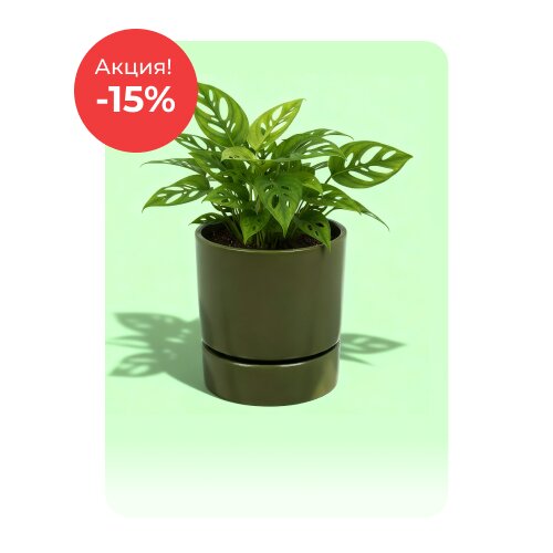 Керамические горшки по акции