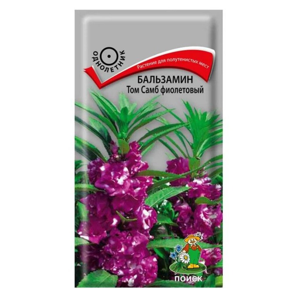 Семена Цветы, Бальзамин, Том Самб фиолетовый, 0.1 г, цветная упаковка, Поиск бальзамин том самб розовый