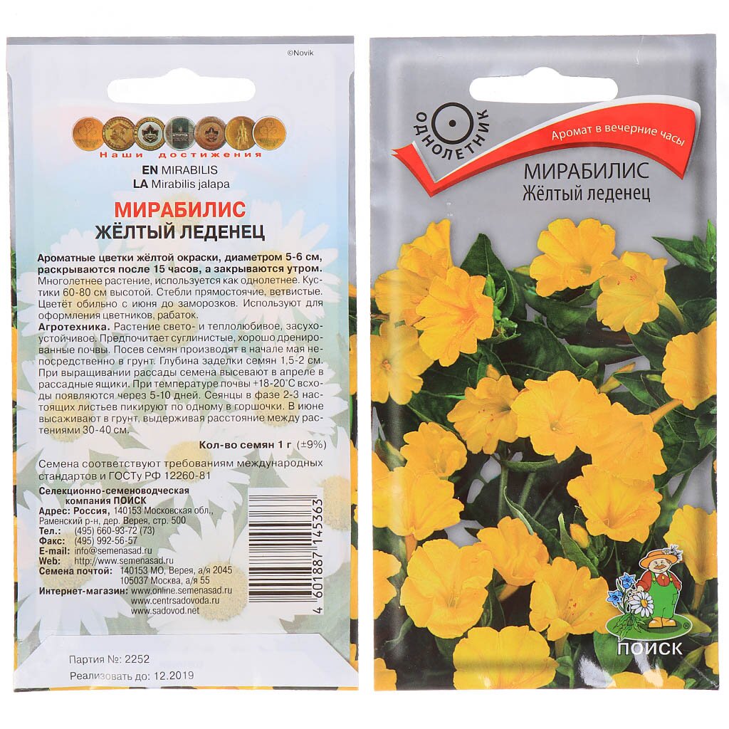 Семена Мирабилис Жёлтый леденец ("1), 1 г, в цветной упаковке Поиск