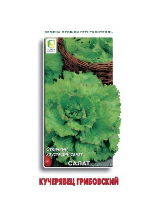 Семена Салат полукочанный, Кучерявиц Грибовский, 1 г, цветная упаковка, Поиск