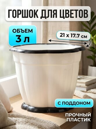 3 л