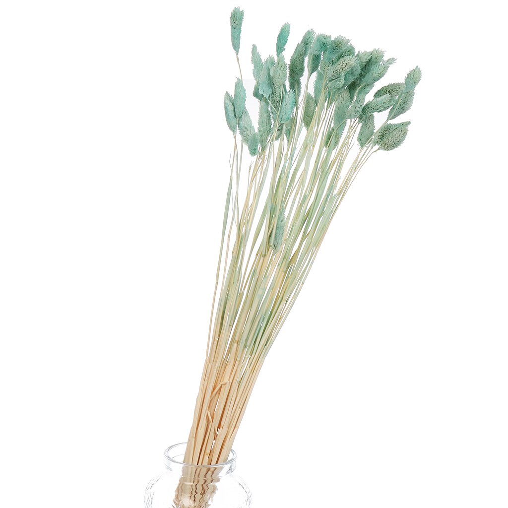 Цветок искусственный декоративный Сухоцветы, 55 см, голубой, Y6-10400 букет декоративный 35 см сухоцветы сола dried flower