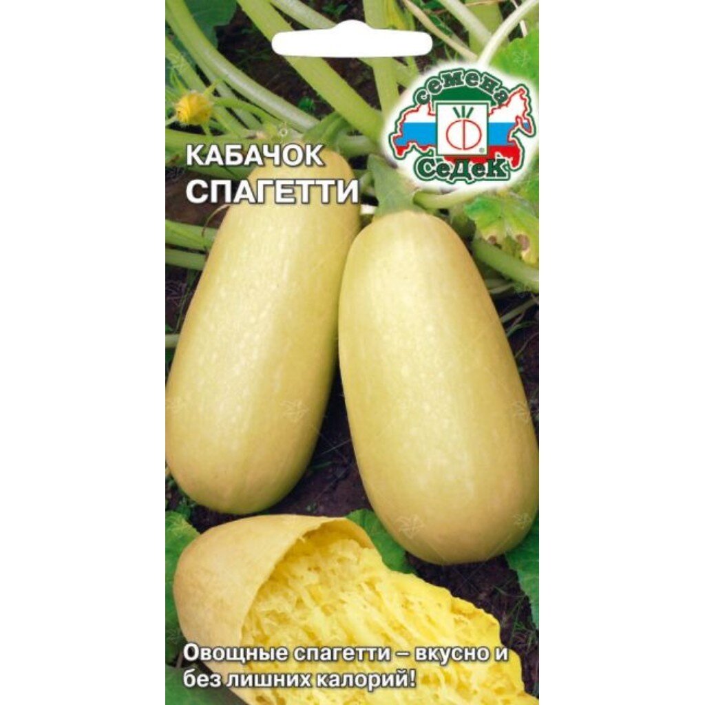 Семена Кабачок, Спагетти, цветная упаковка, Седек