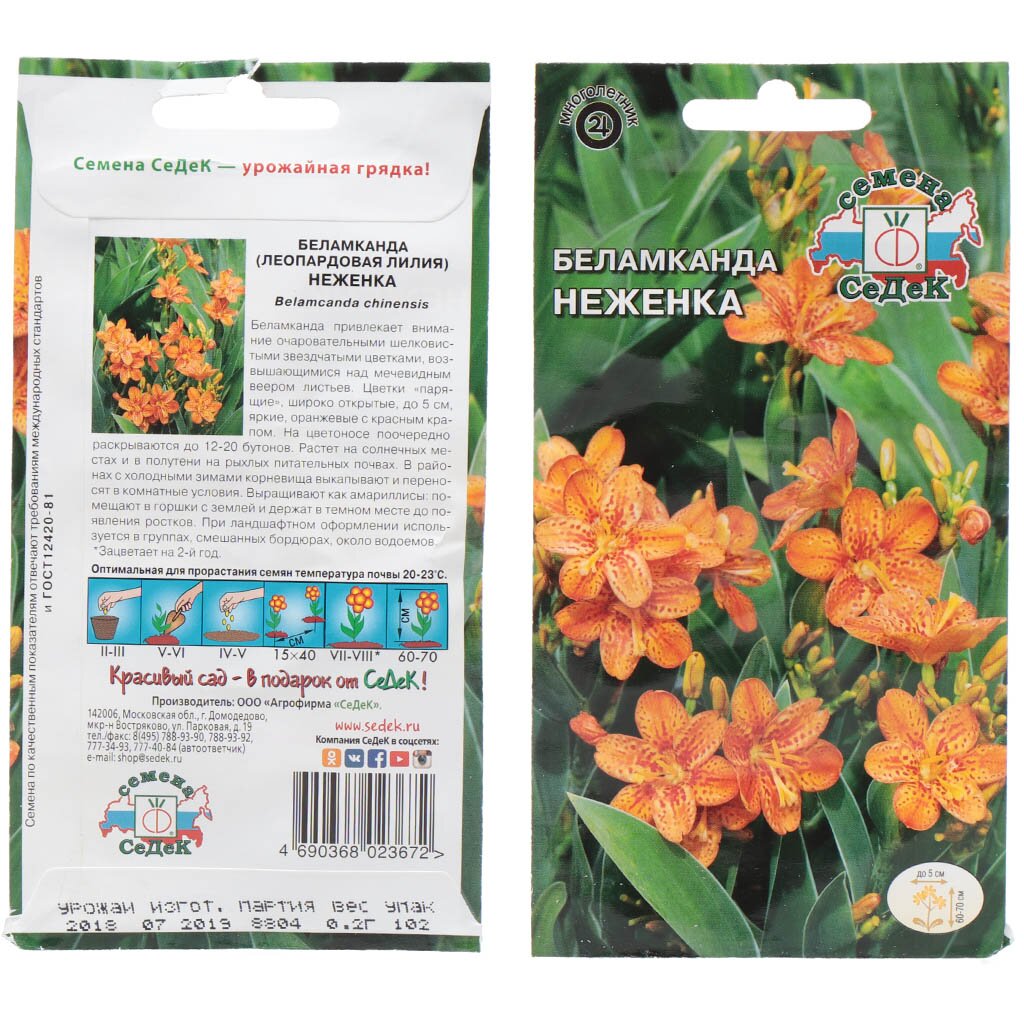 Семена Цветы, Беламканда, Неженка, 0.2 г, цветная упаковка, Седек