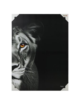 Картина холст, 50х70 см, Портрет льва и львица 2, kt57-14635