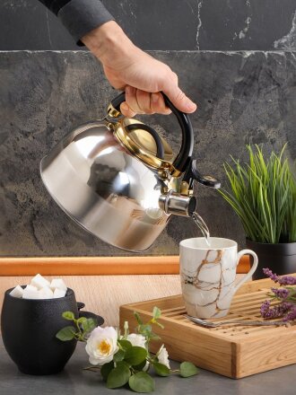 Чайник нержавеющая сталь, 2.7 л, со свистком, зеркальный, ручка бакелитовая, с силиконовым покрытием, Daniks, Мадрид Голд, индукция, M-001PM