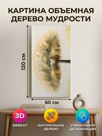 120 см