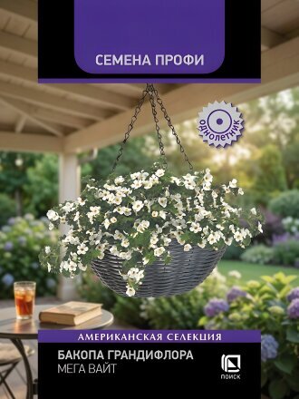 Семена Цветы, Бакопа гриндифлора, Мега Вайт, 5 шт, цветная упаковка, Поиск