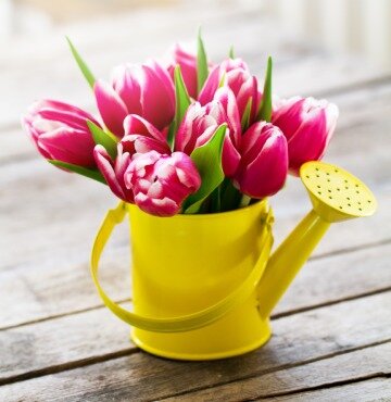 День труда и праздник Весны