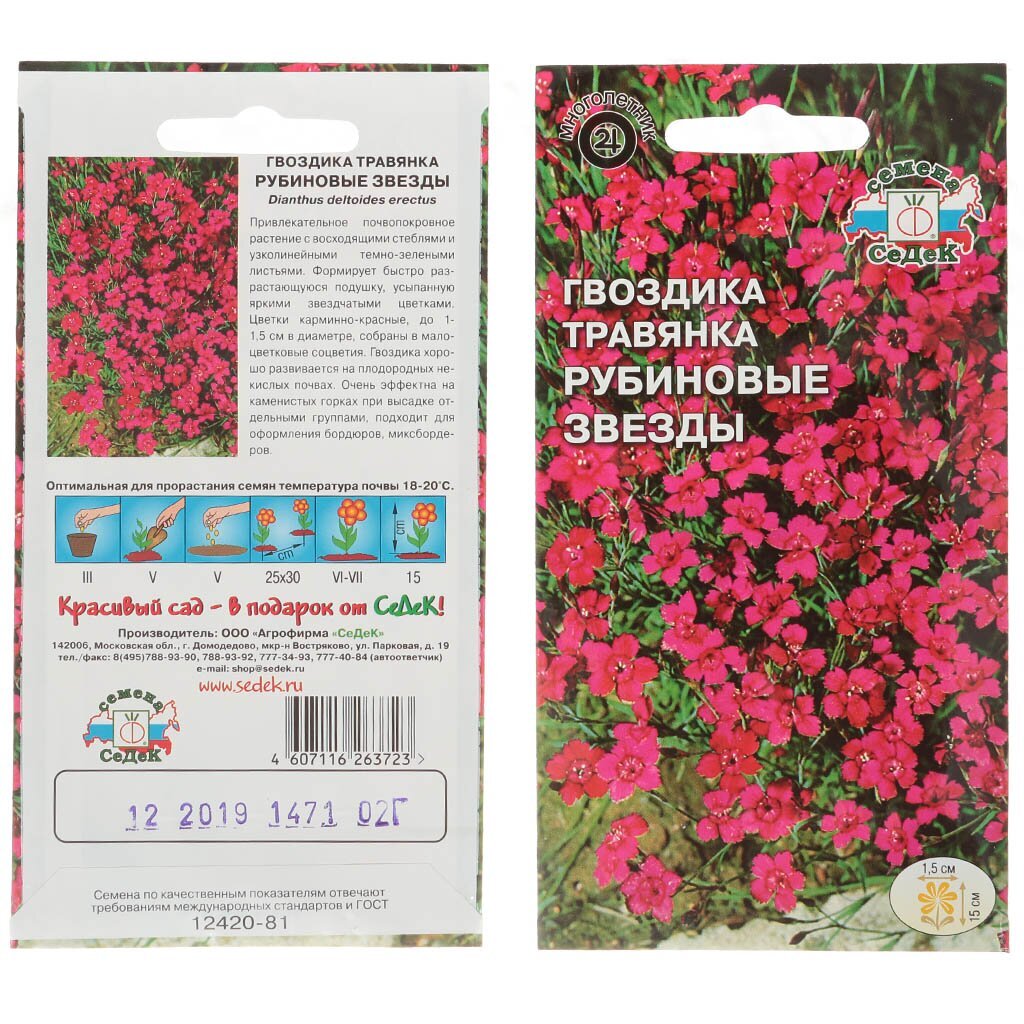 Семена Цветы, Гвоздика, Рубиновые звезды травянка, цветная упаковка, Седек