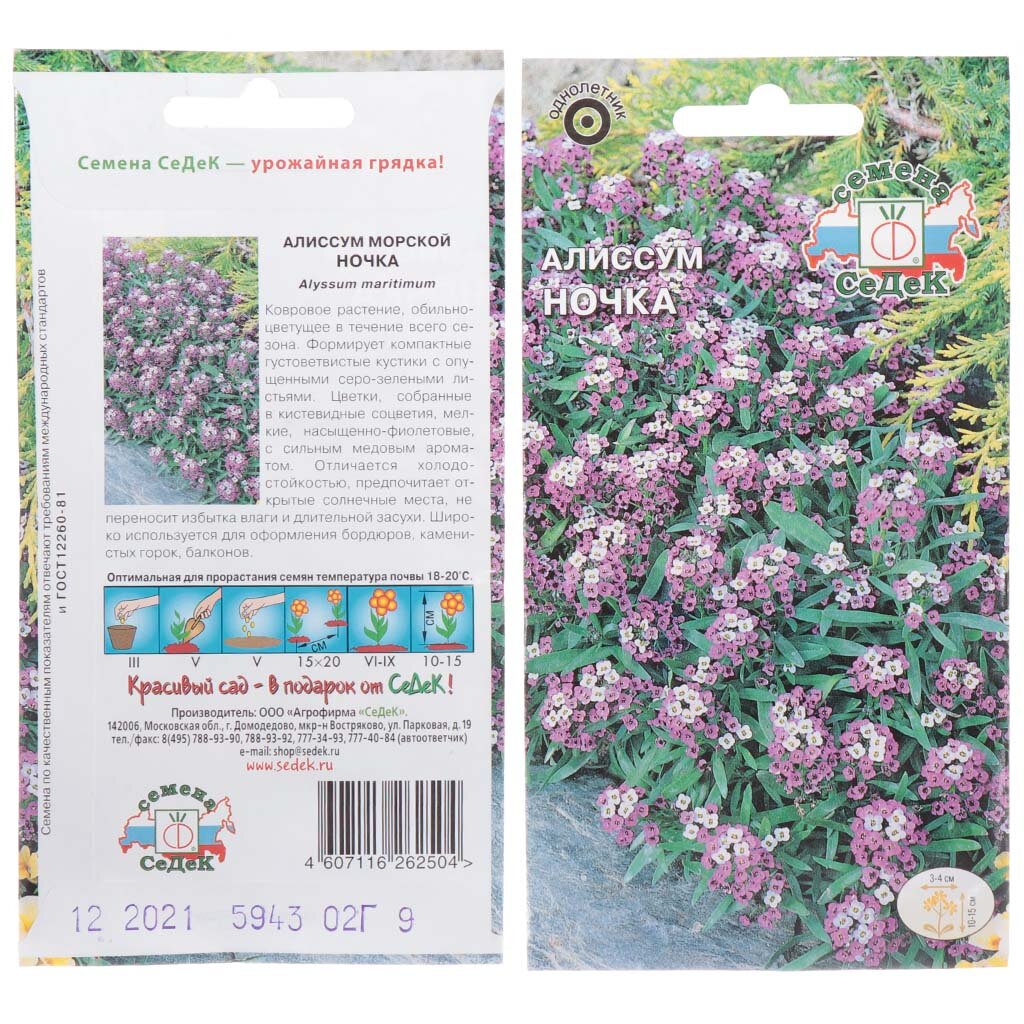 Семена Цветы, Алиссум, 0.2 г, цветная упаковка семена ов алиссум морской афродита пурпурный туман 0 02 г