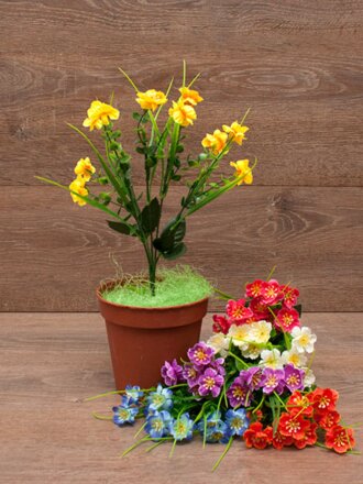 Полевые цветы