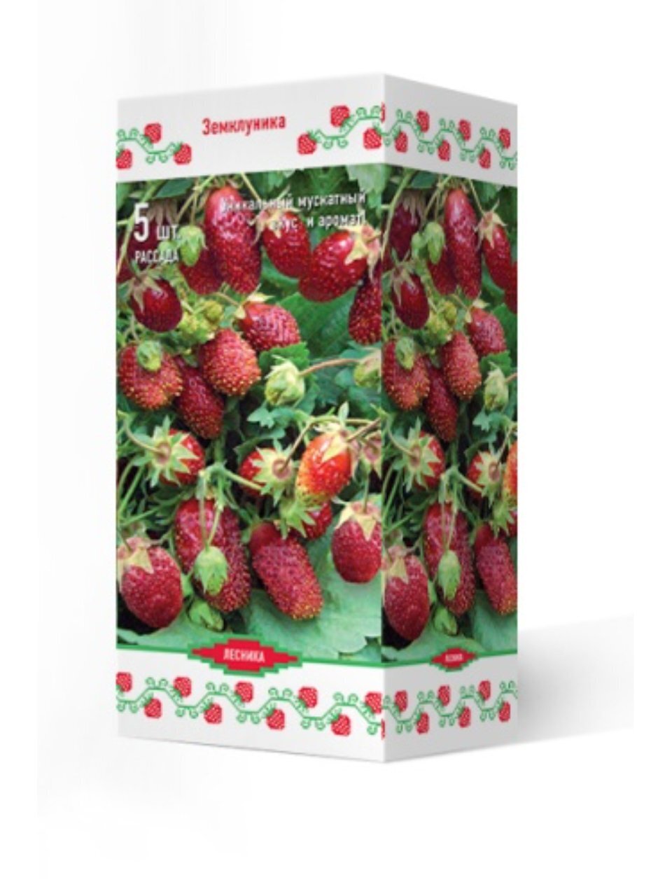 Саженцы Земляника садовая, Раиса, 5 шт, 814505