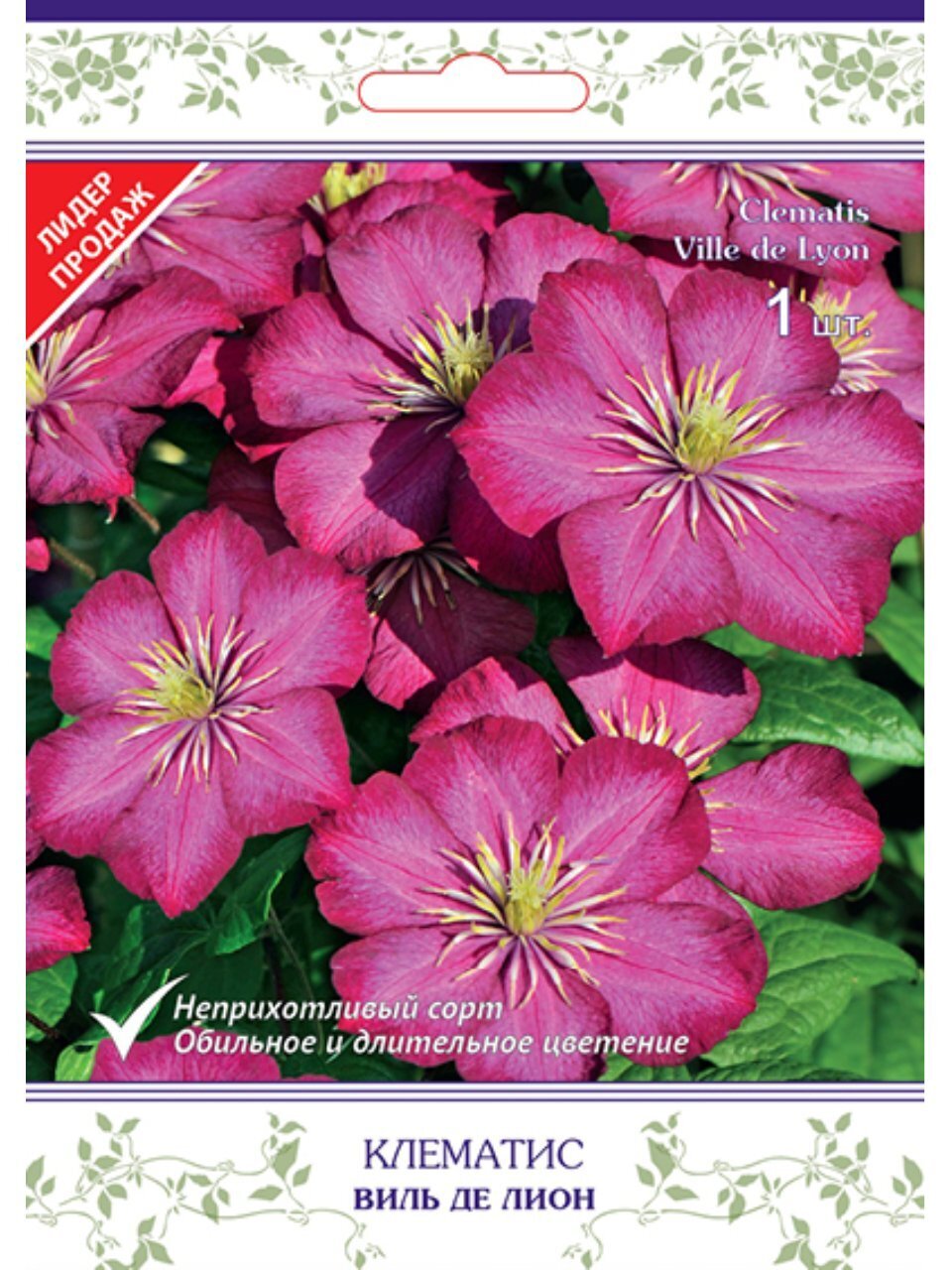 Саженцы Клематис крупноцветковый, Виль де Лион, карминово-красные, 697158