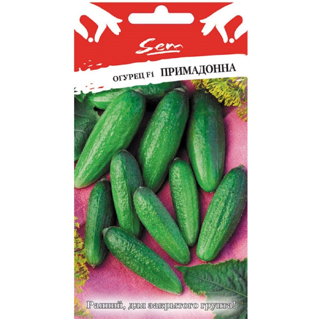 Семена Огурец, Примадонна F1, 0.01 г, цветная упаковка, Русский огород