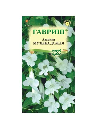 Музыка дождя