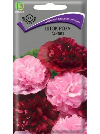 Кантата