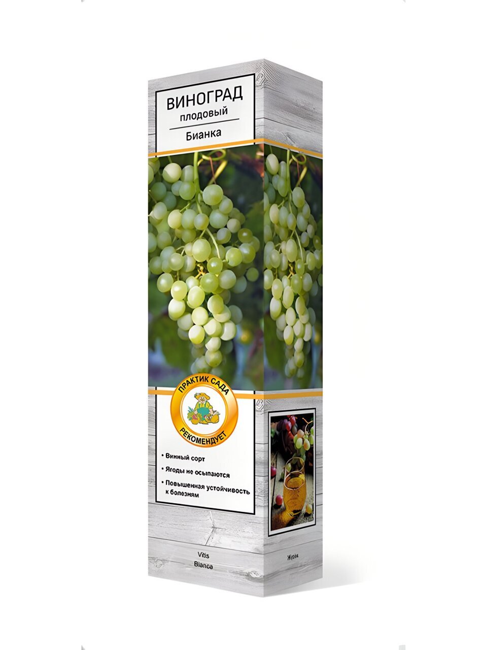 Саженцы Виноград плодовый, Бианка