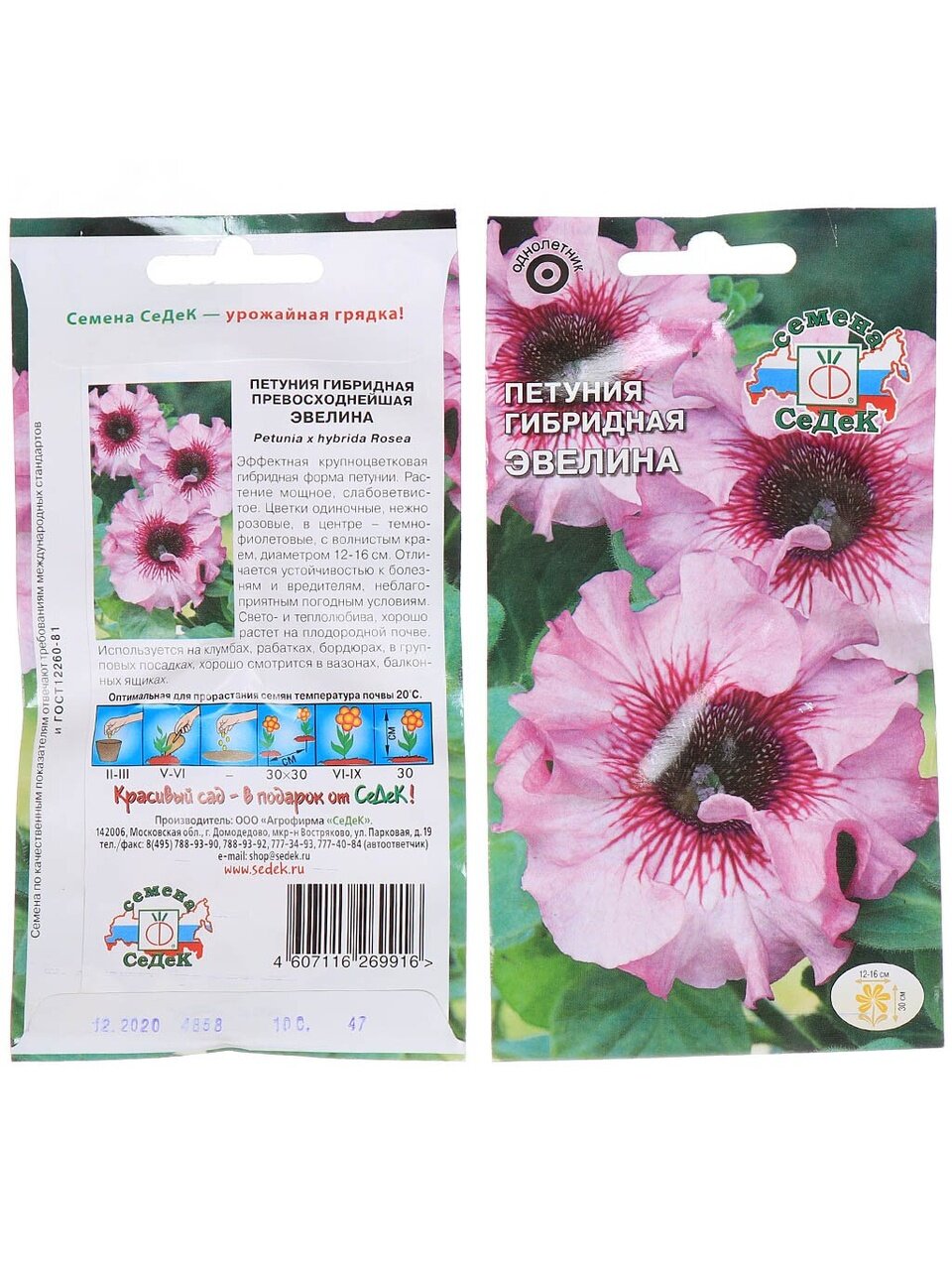 Семена Цветы, Петуния, Эвелина, 10 г, цветная упаковка, Седек