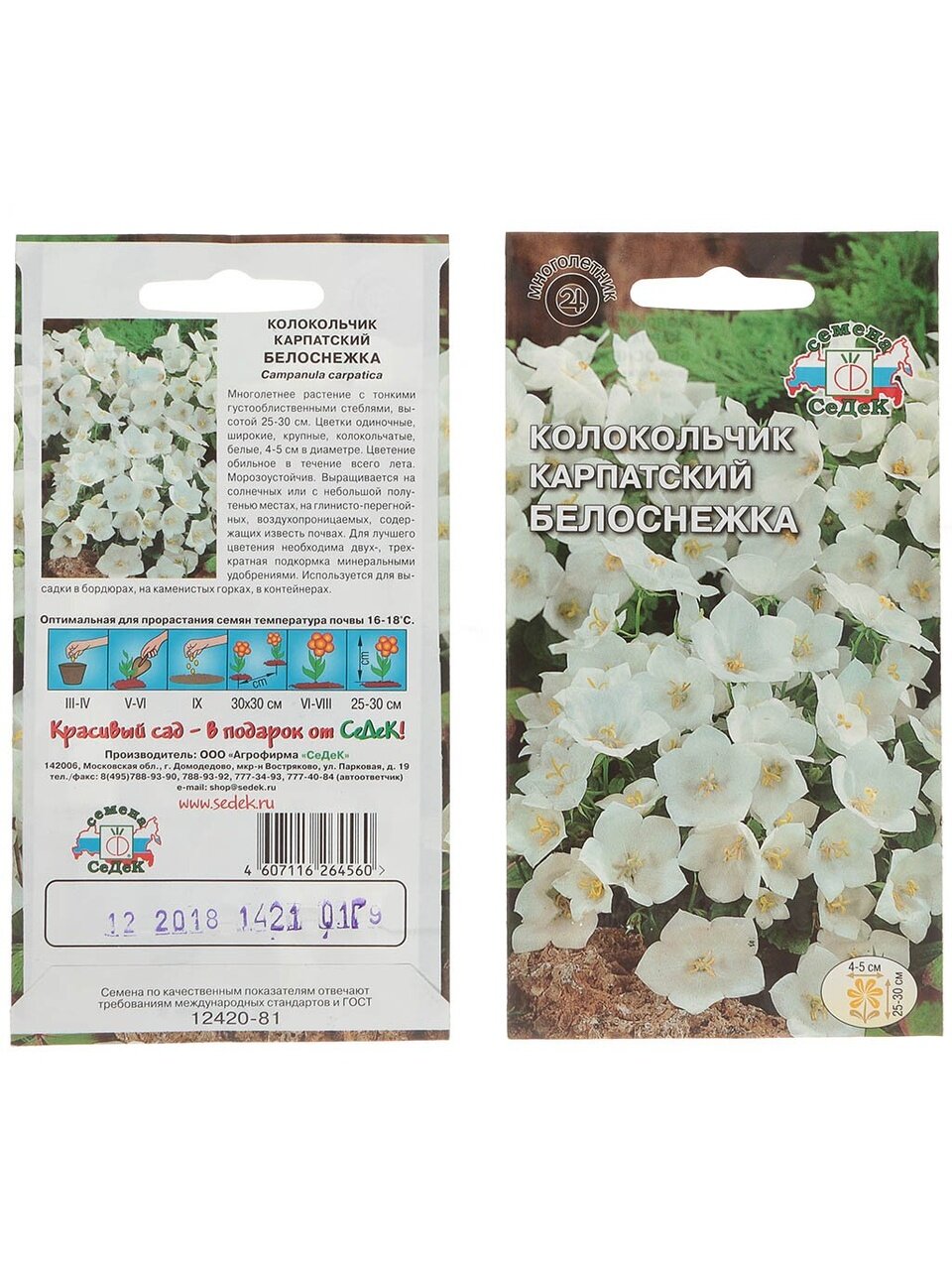 Семена Цветы, Колокольчик, Белоснежка карпатский, 0.1 г, цветная упаковка, Седек