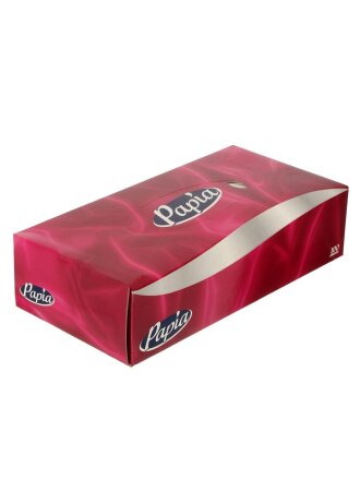 Салфетки бумажные Papia, для ухода за кожей лица, 100 шт, 2 слоя, 21х21 см, 5055478