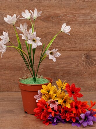 Альстромерия