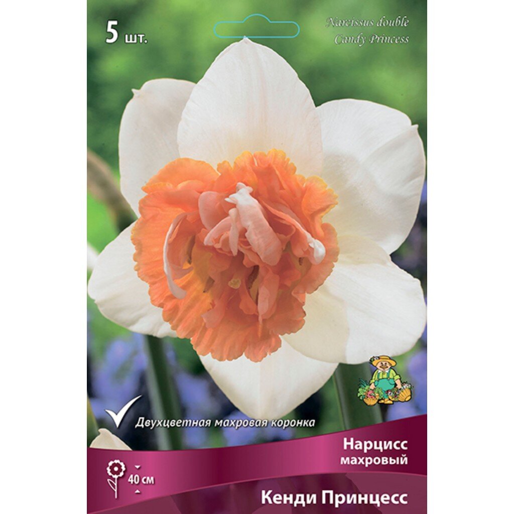 Луковицы Нарцисс махровый, Кенди Принцесс, 12-14/К, 5 шт