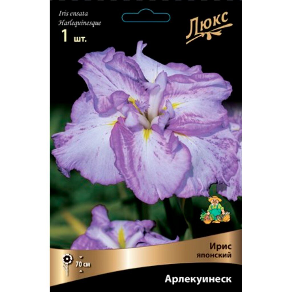 Луковицы Ирис японский, Арлекуинеск