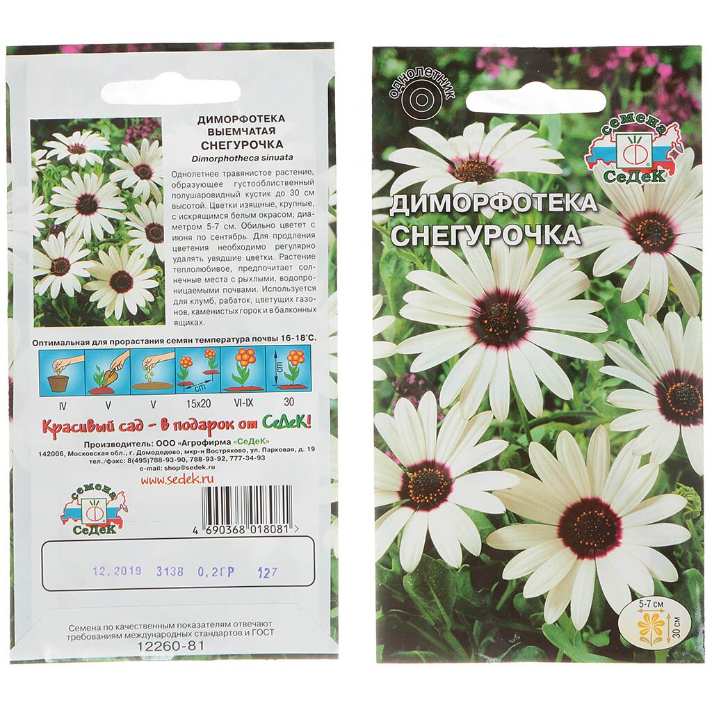Семена Цв Диморфотека выемчатая Снегурочка (0,2г)