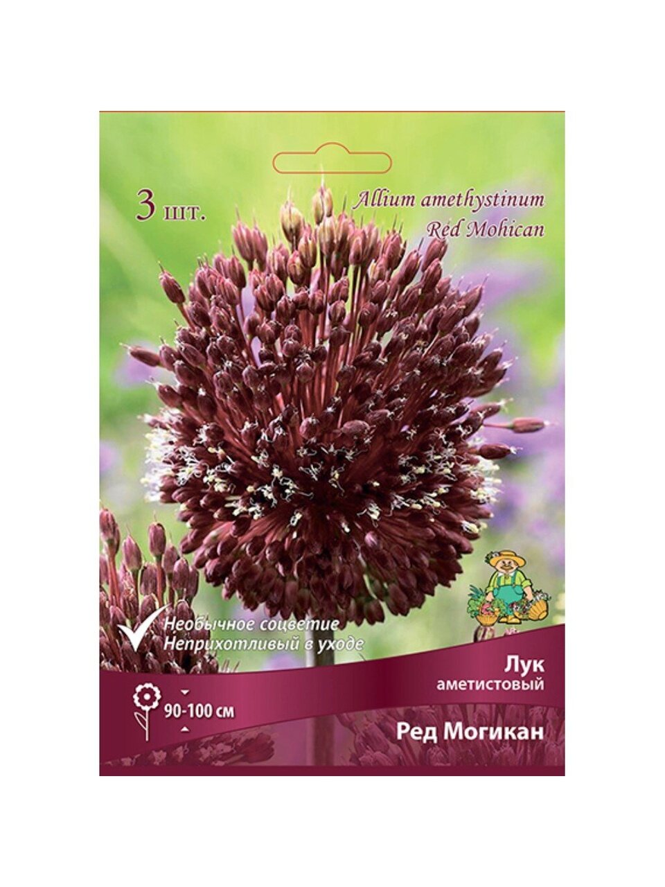 Луковицы Лук декоративный, Ред Могикан, аметистовые, 10-12/К, 3 шт
