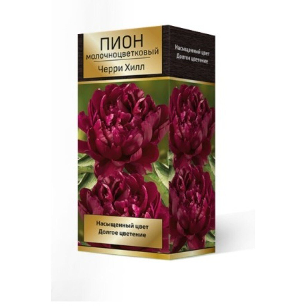 Пион молочноцветковый Черри Хилл, 2-3/Кор